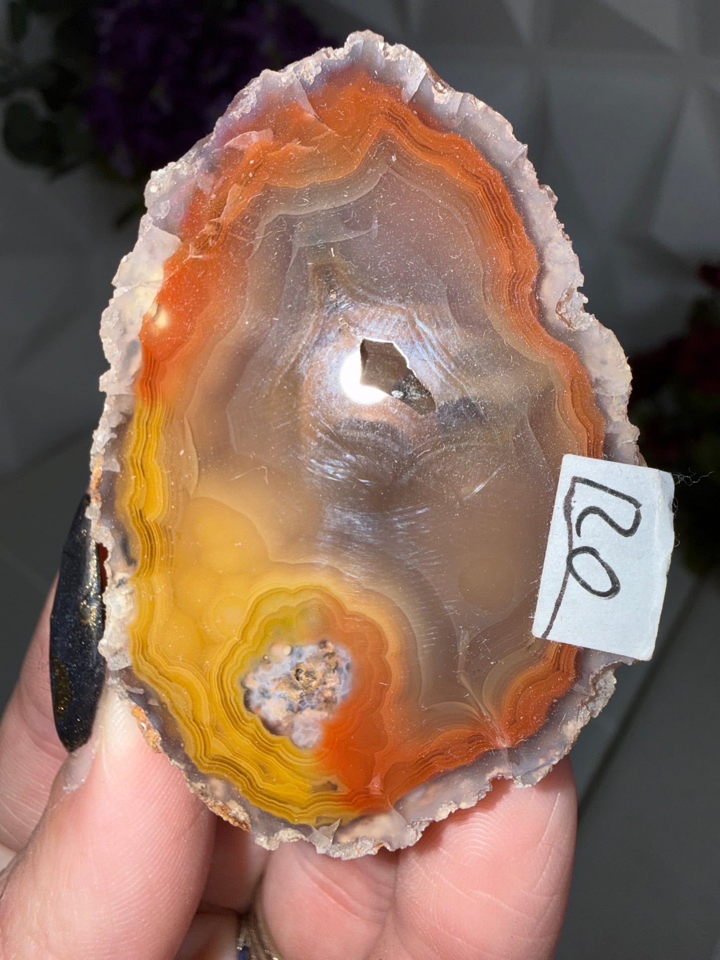 Laguna Agate – Mexico