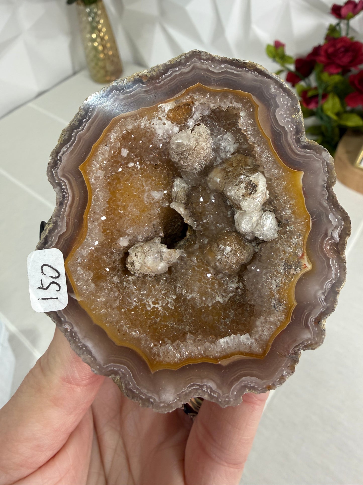 Laguna Agate – Mexico