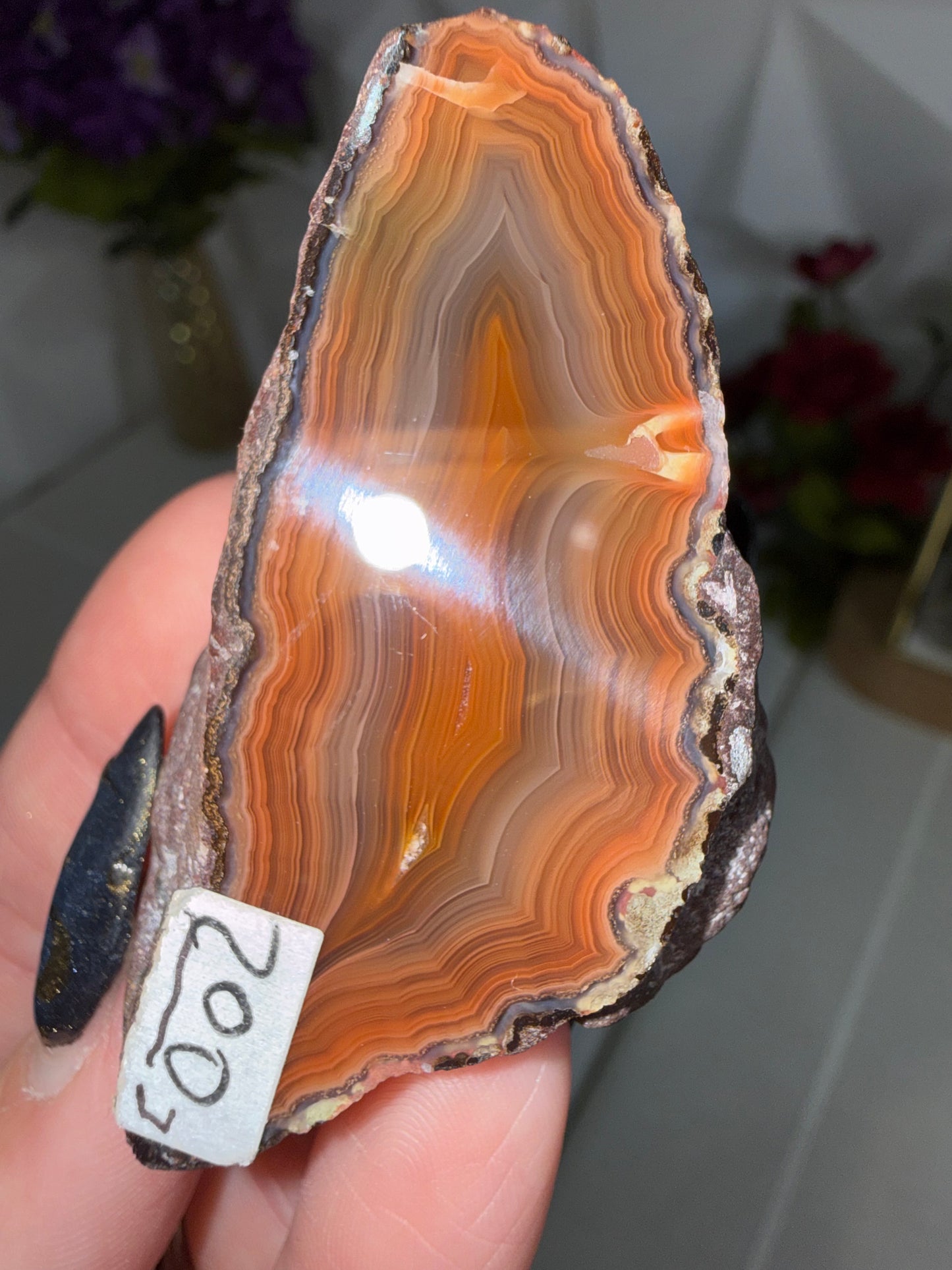 Laguna Agate – Mexico