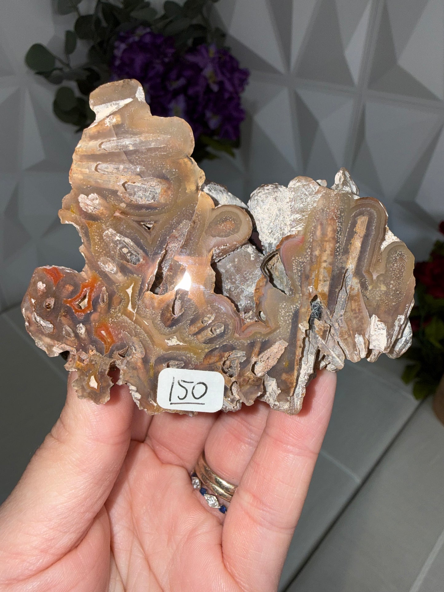 Coyamito Agate – Mexico
Pseudomorph