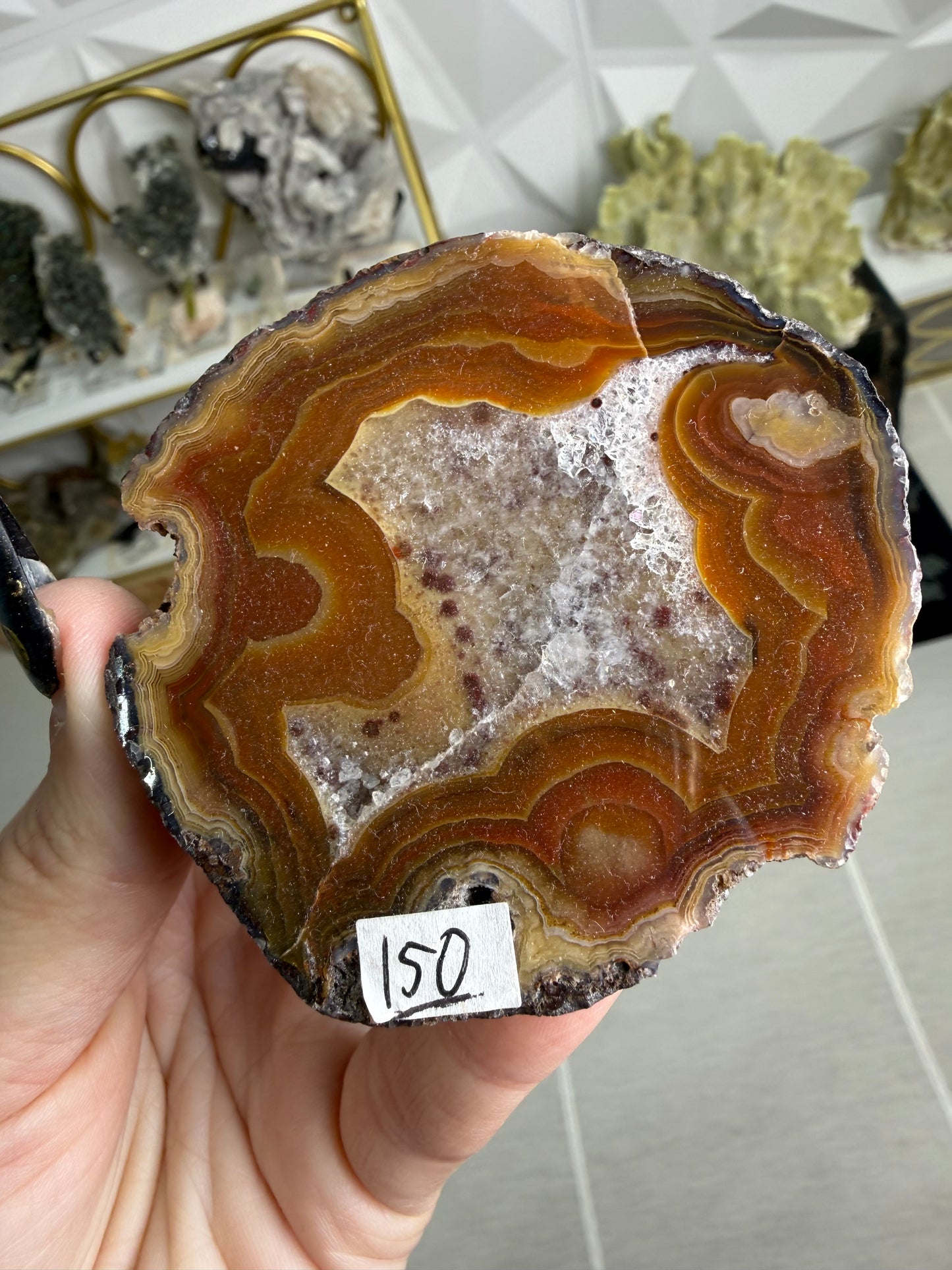 Laguna Agate – Mexico