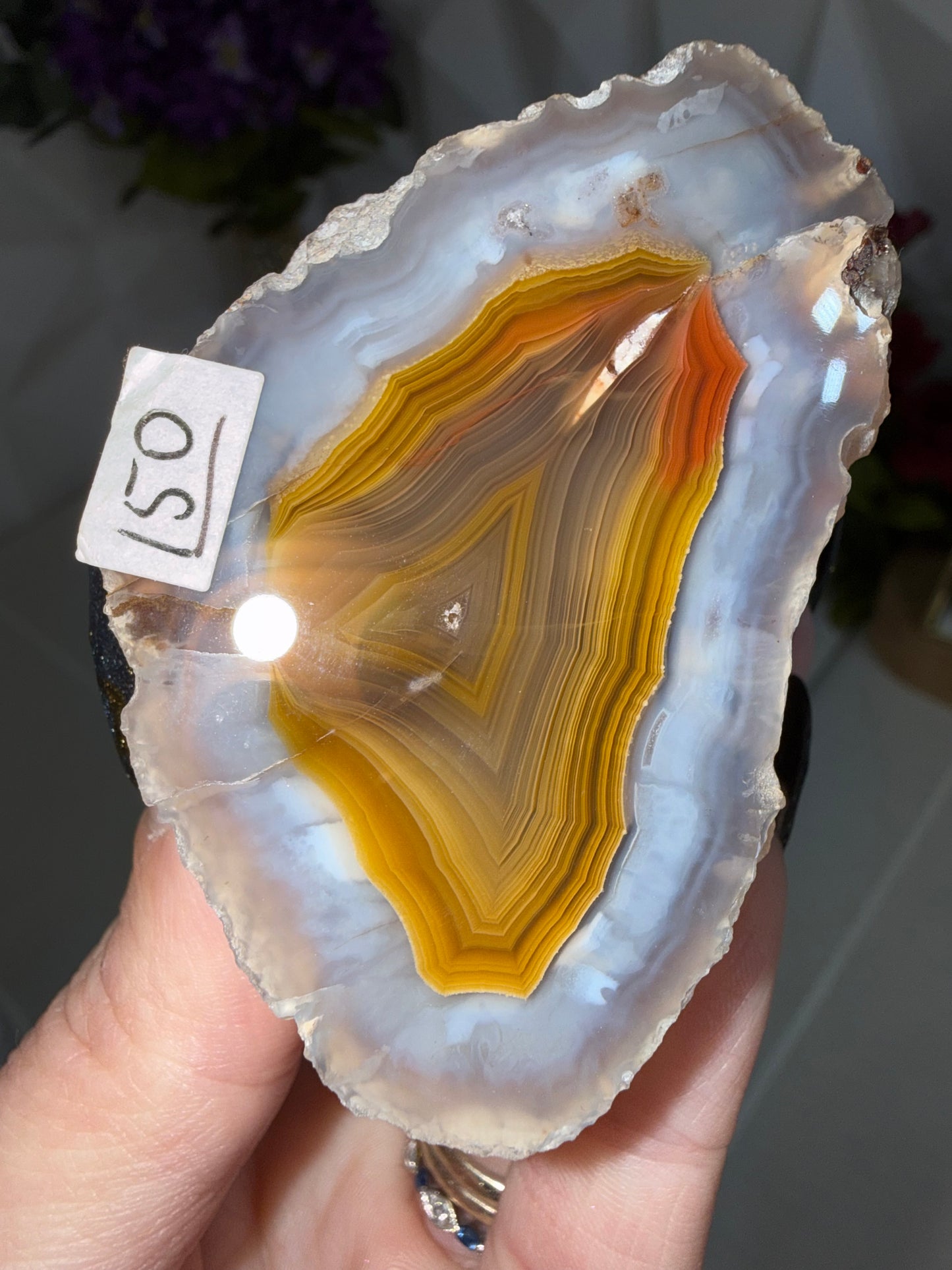 Laguna Agate – Mexico