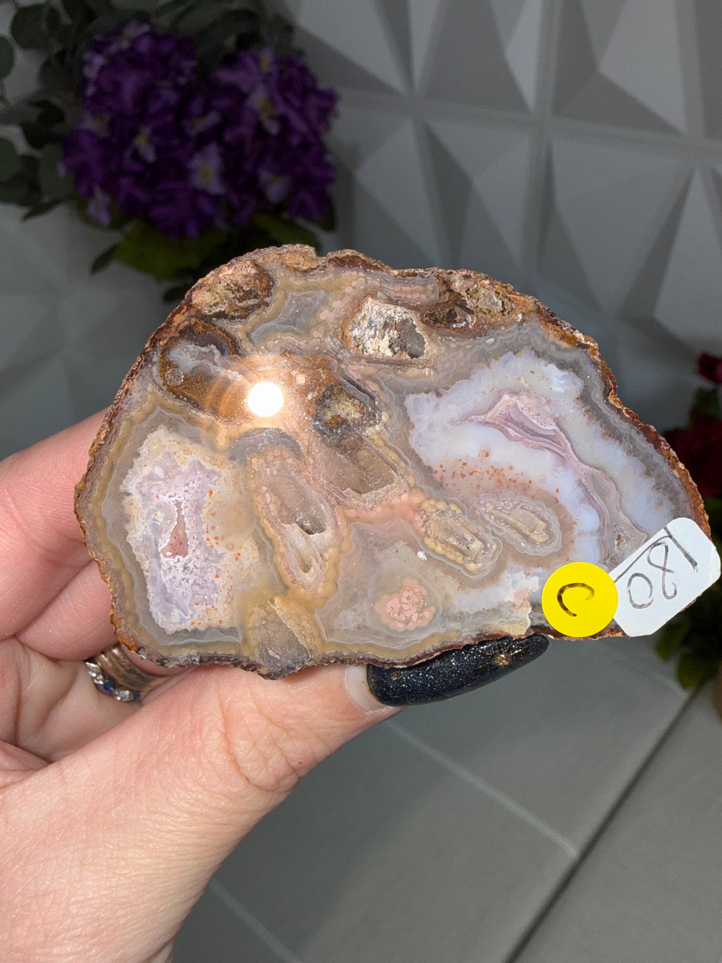 Coyamito Agate – Mexico
Pseudomorph