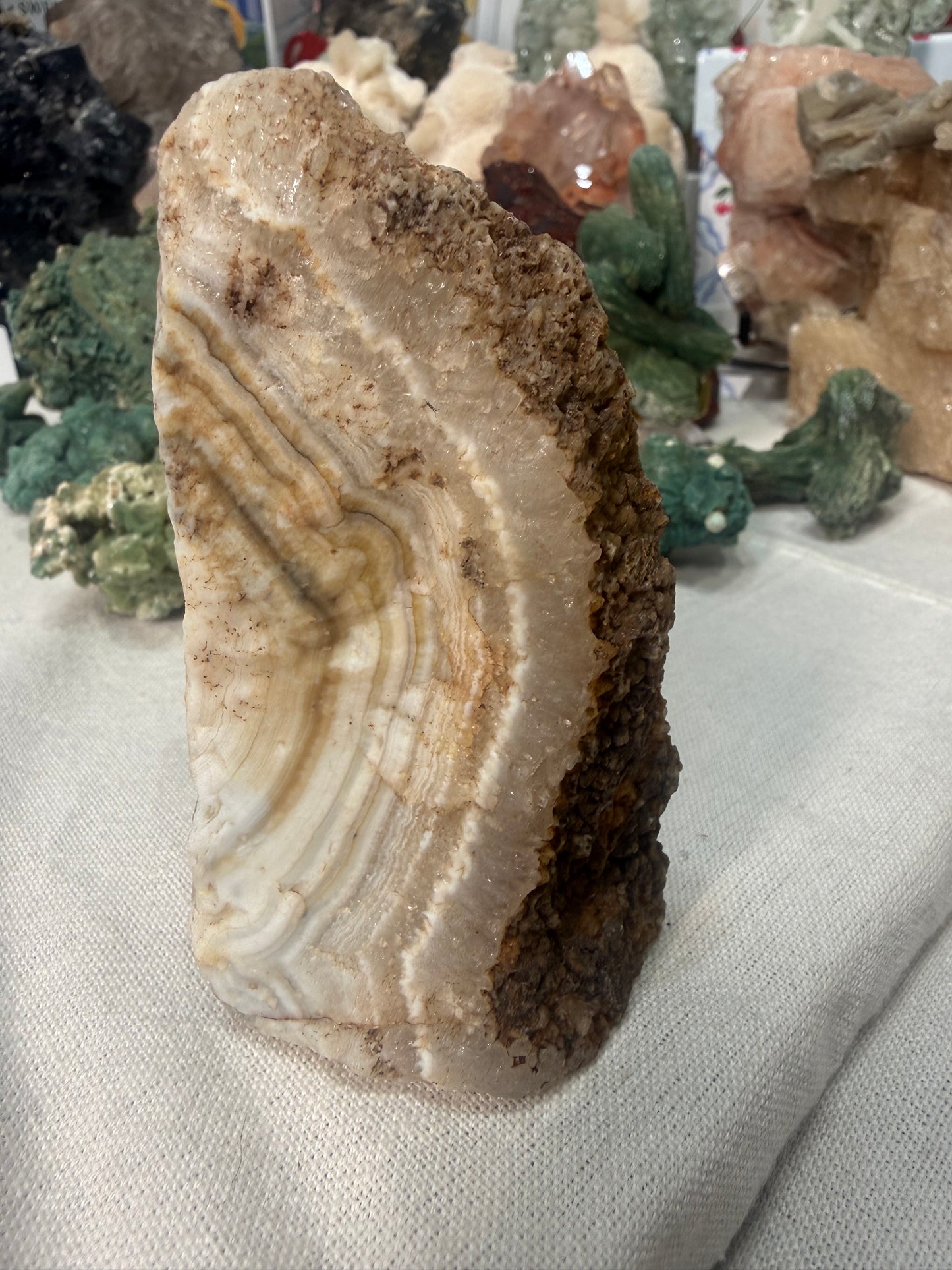 Silver Bearing Amethyst “Sowbelly Agate” 90B