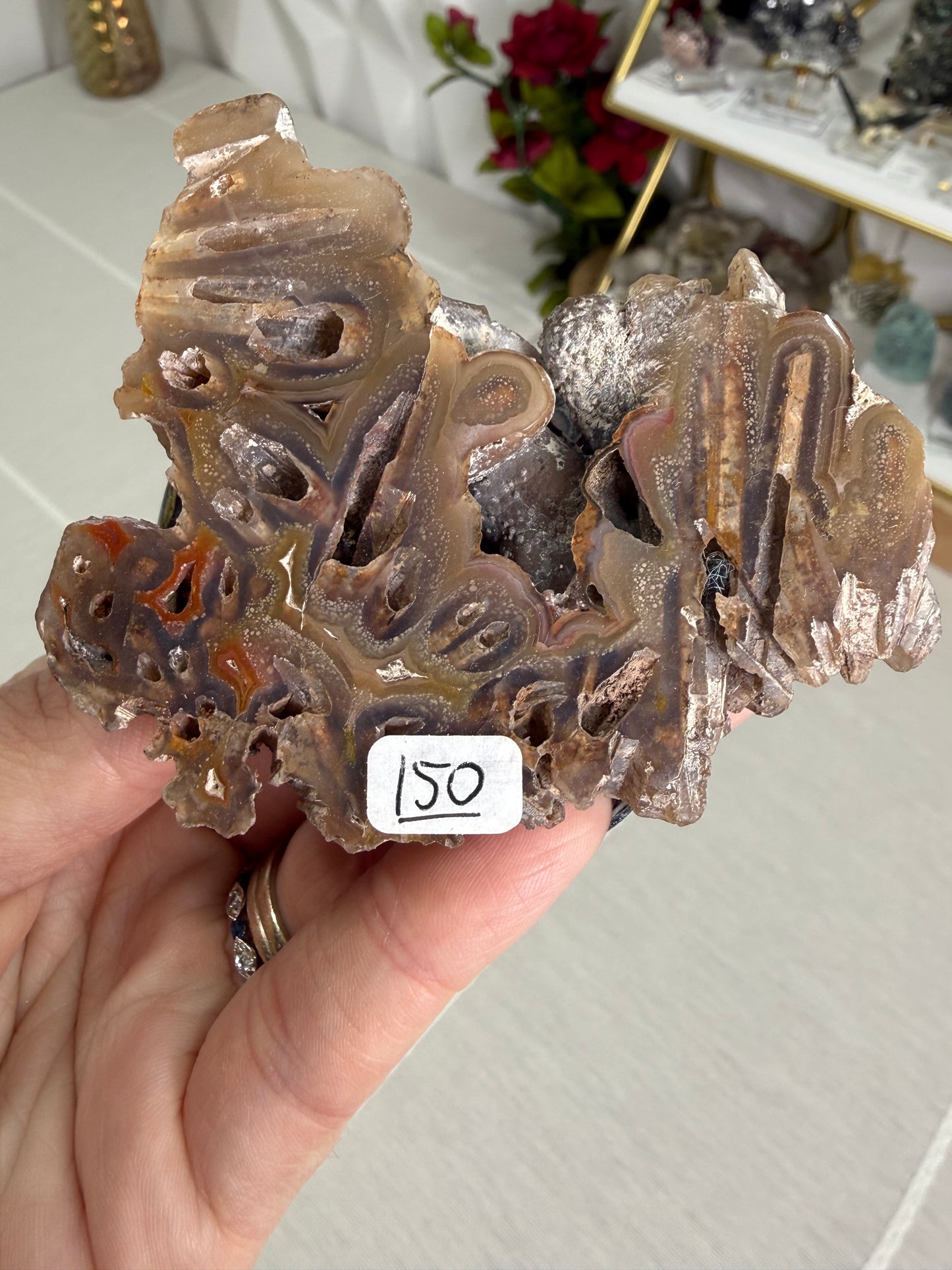 Coyamito Agate – Mexico
Pseudomorph