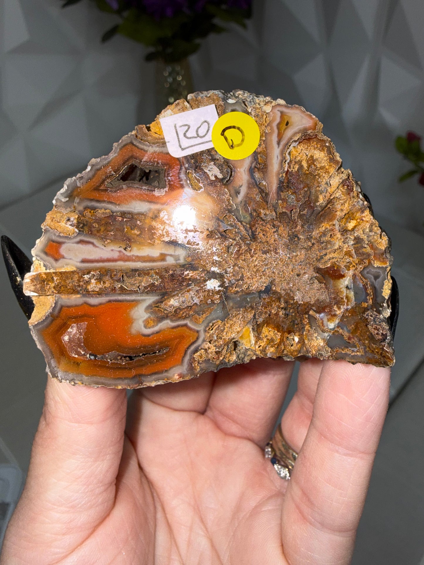 Coyamito Agate – Mexico
Pseudomorph