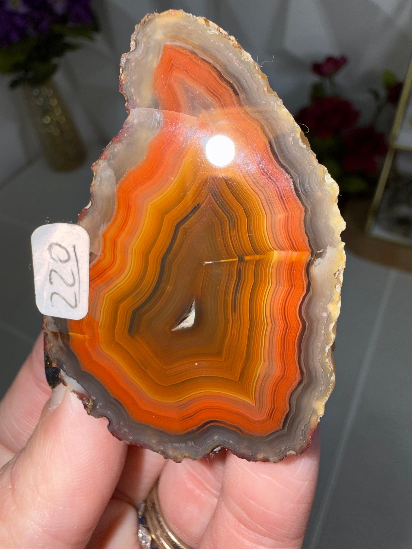 Laguna Agate – Mexico