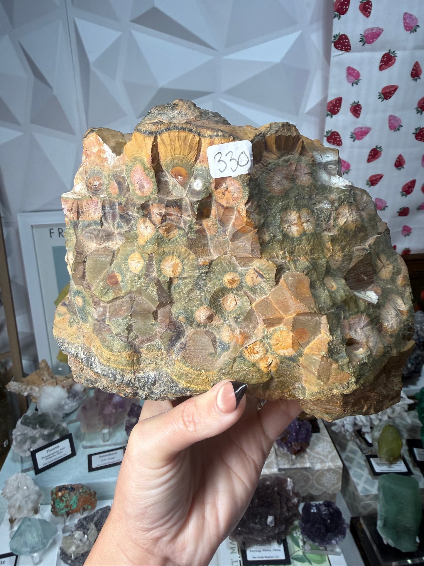 Kabamby Ocean Jasper • Madagascar