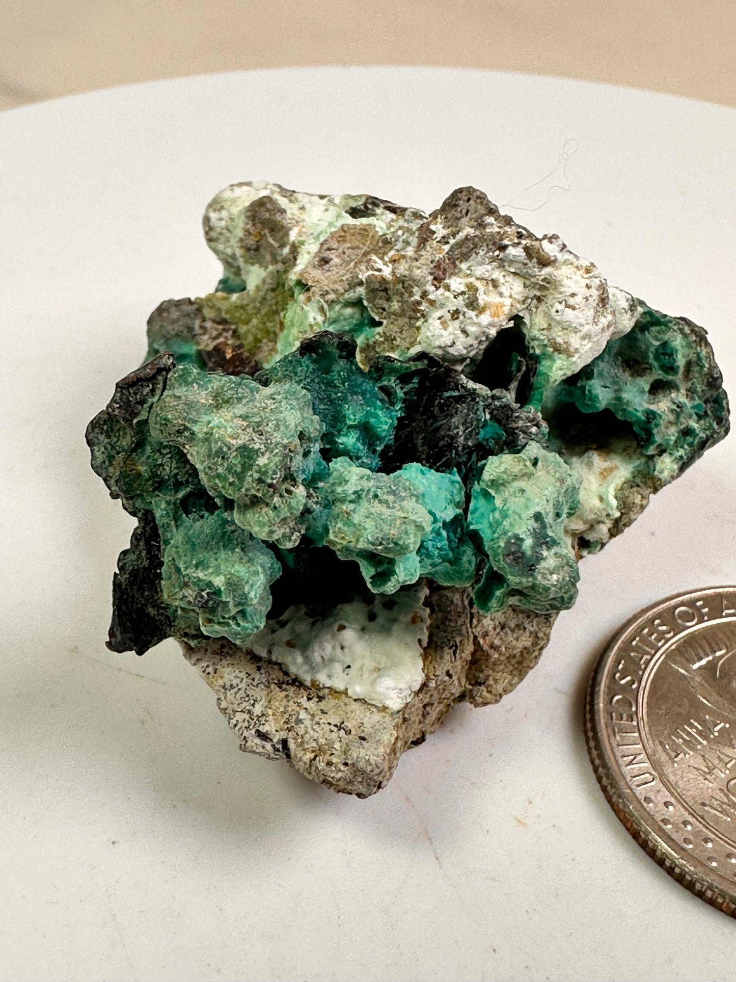 Chrysocolla, Chalcedony & Copper | Obi Island, Indonesia