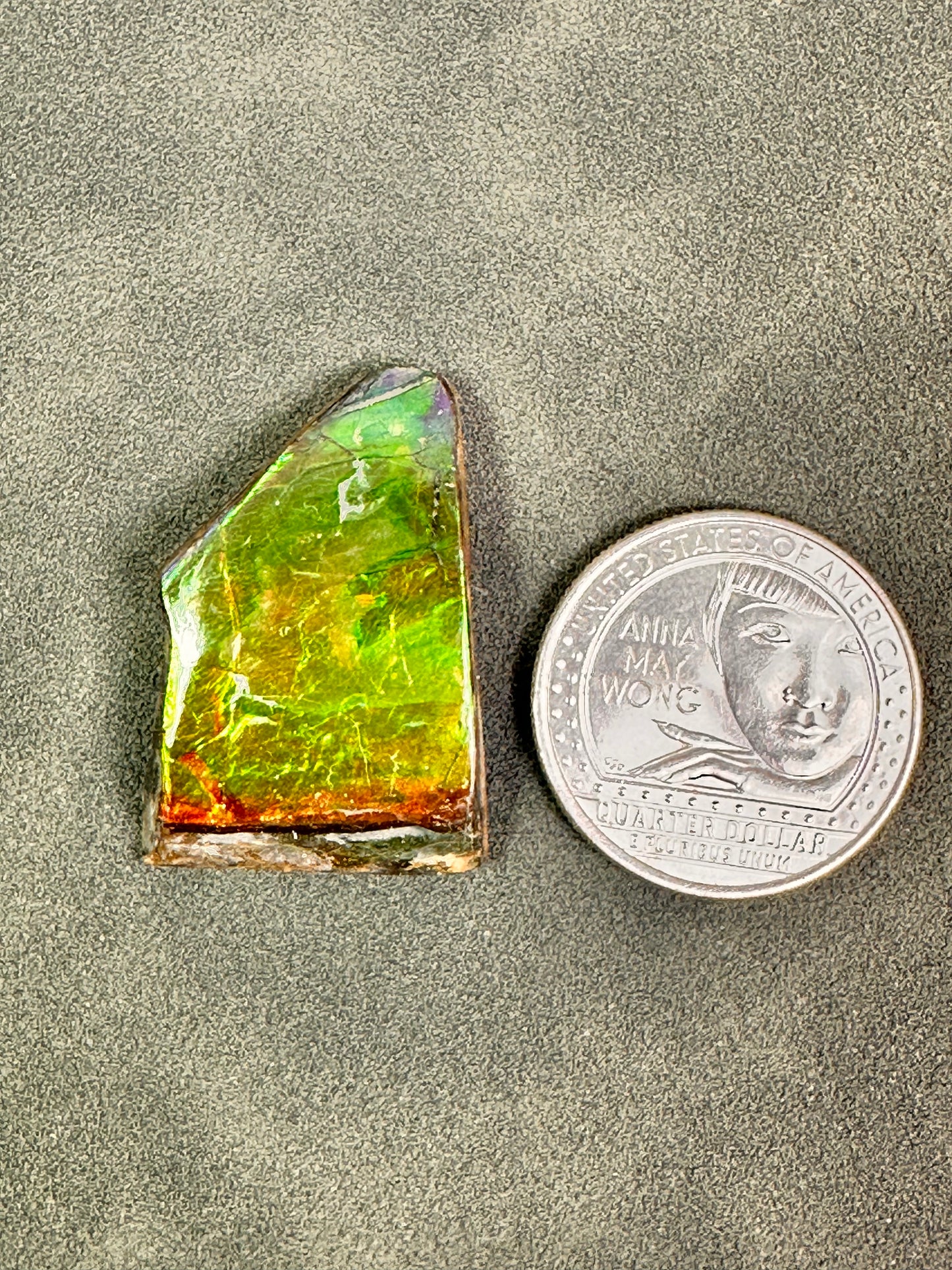 Ammolite | Canada