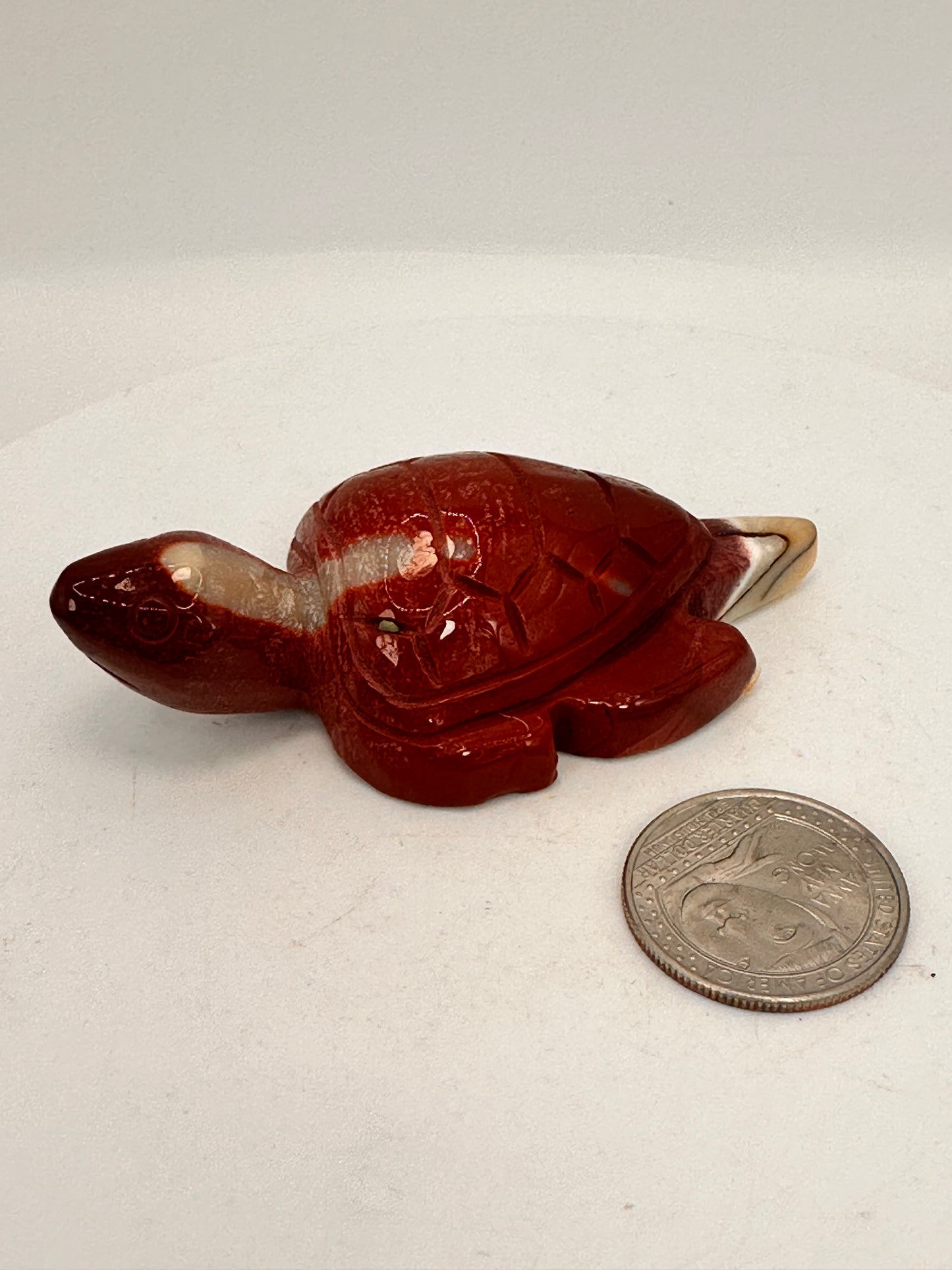 Mookaite Turtle — Australia