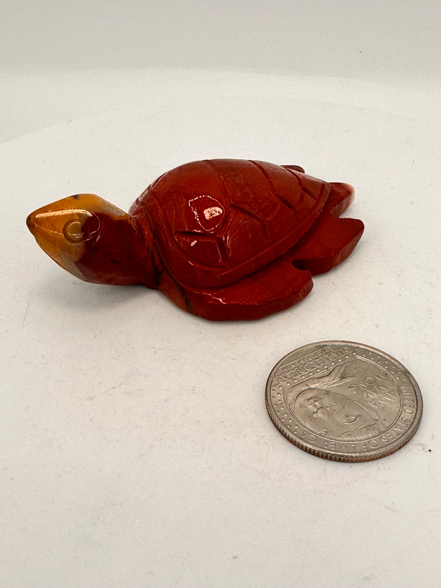 Mookaite Turtle — Australia