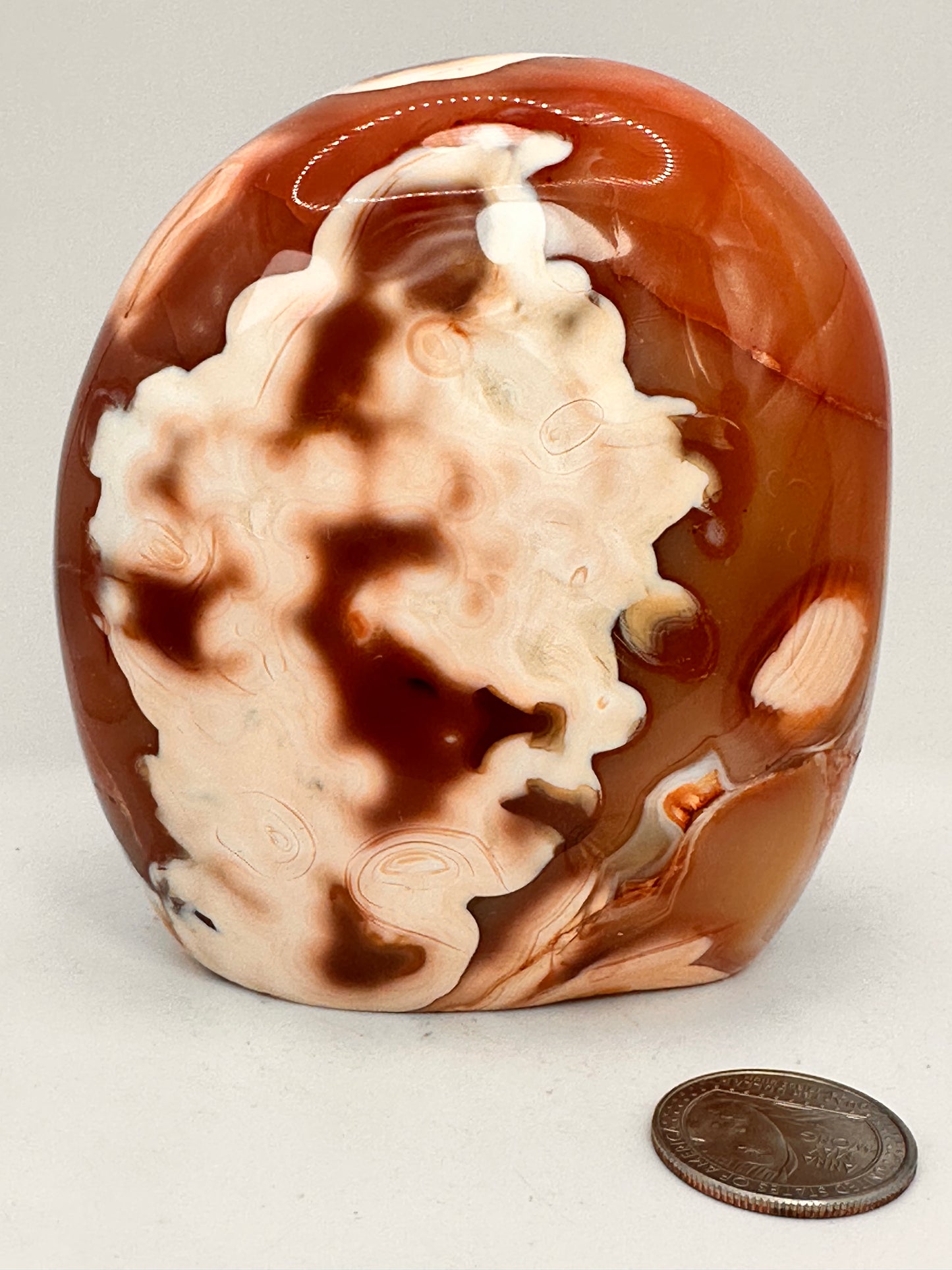 Carnelian Freeform