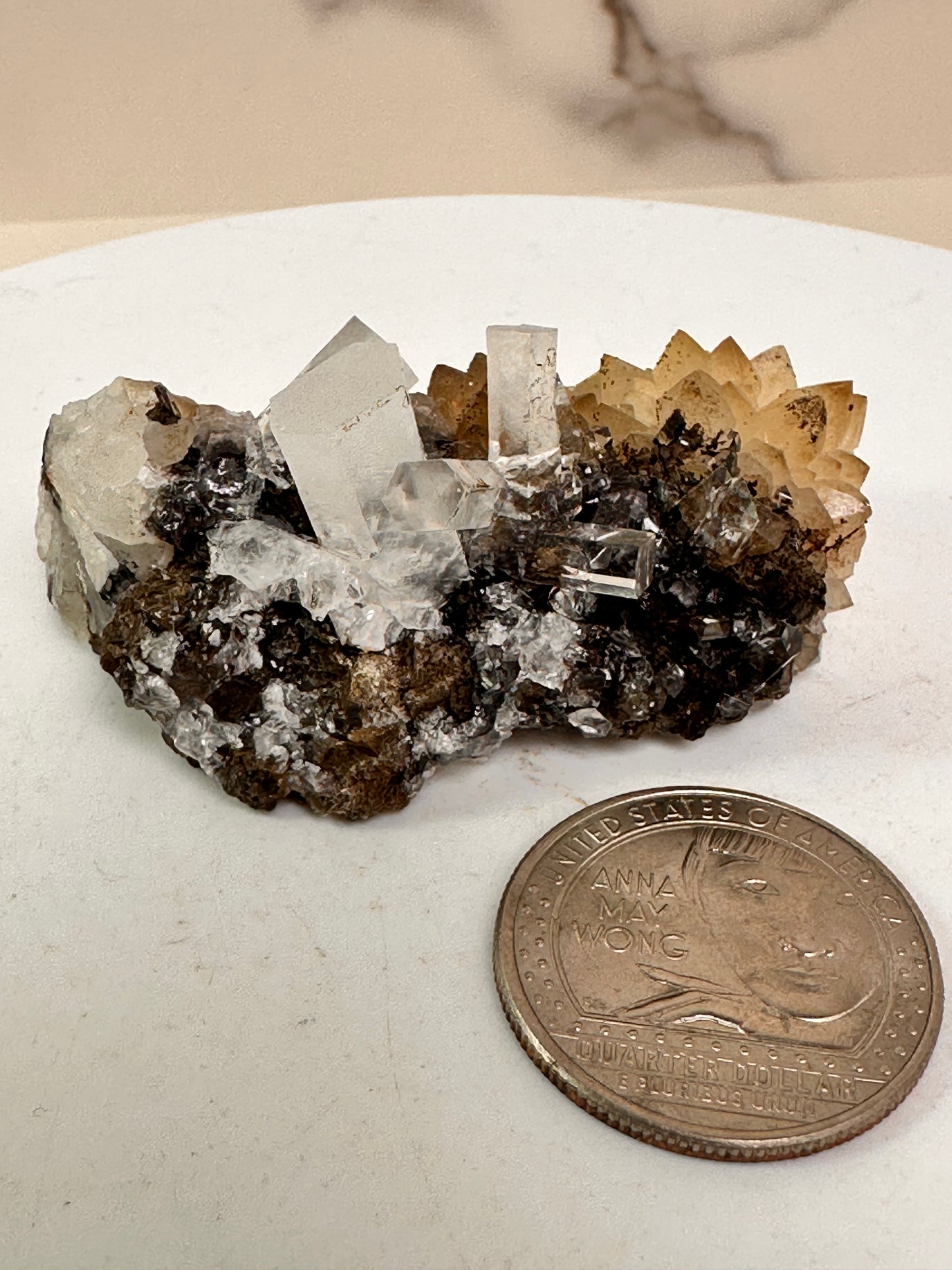 Column Calcite | Fujian, China