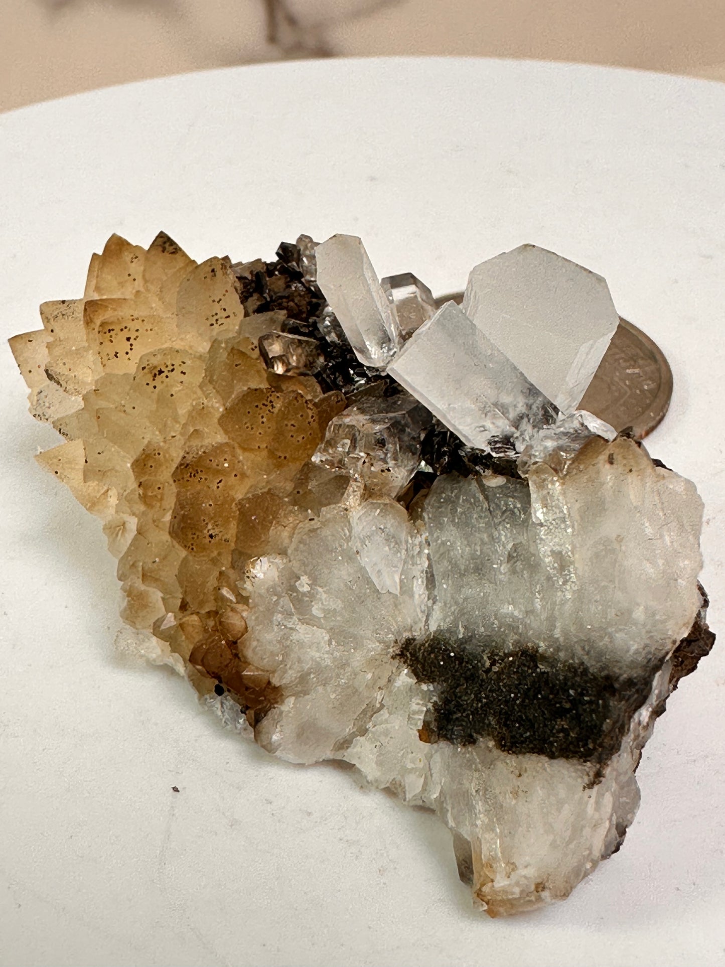 Column Calcite | Fujian, China