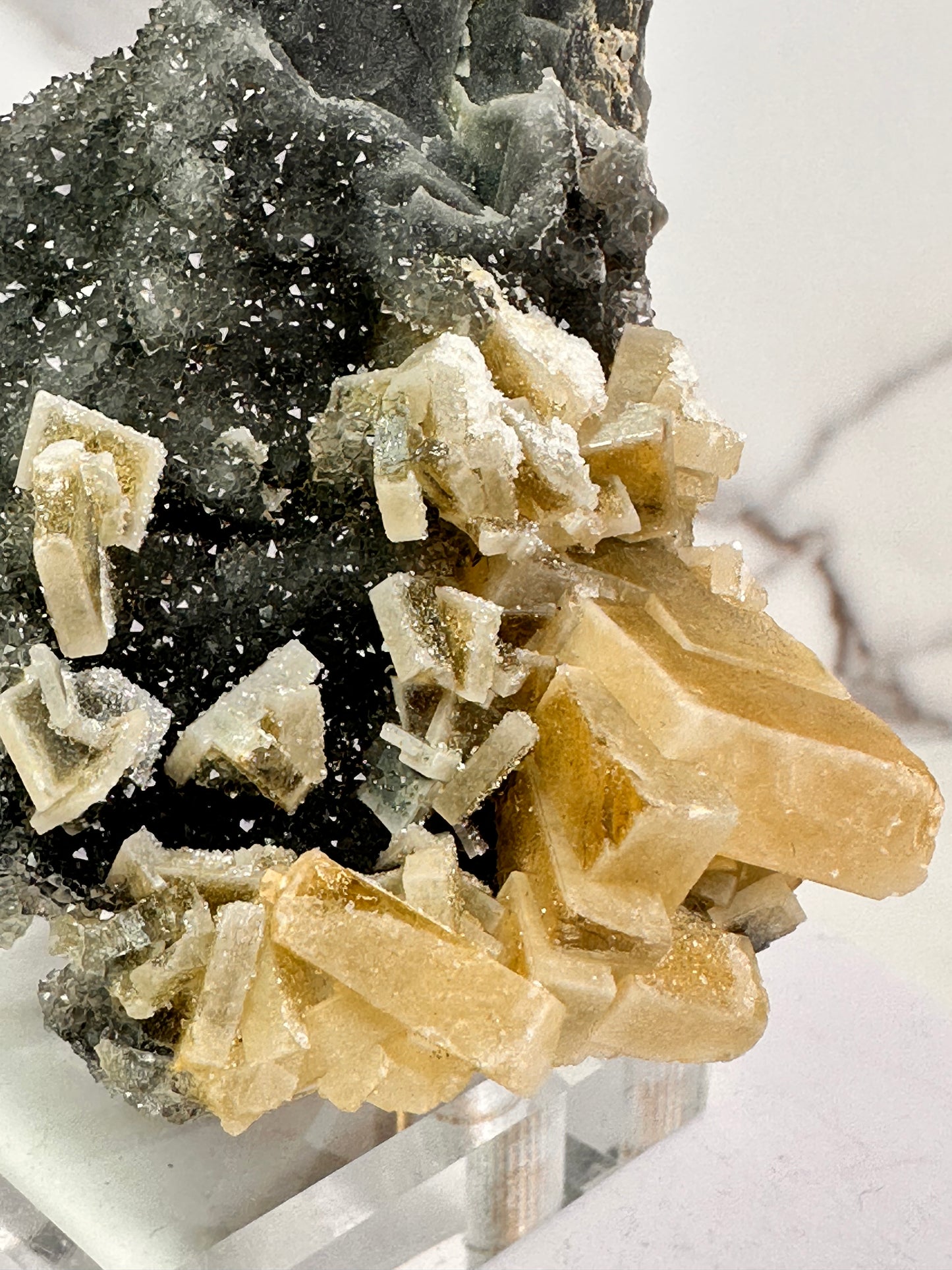 Barite on Sugar Quartz | Fuzhou, Jiangxi, China