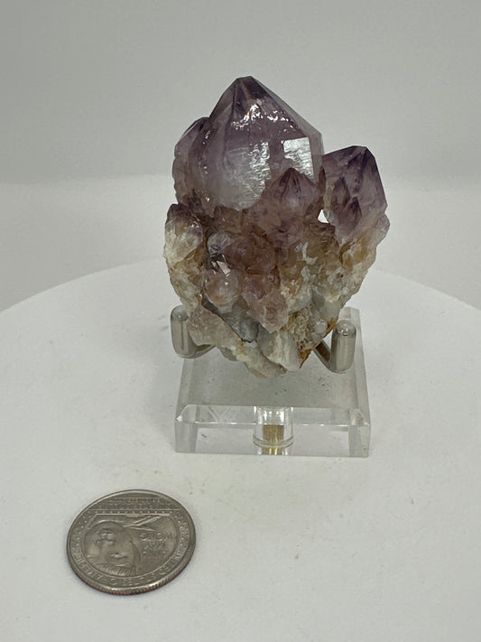 Cactus Quartz