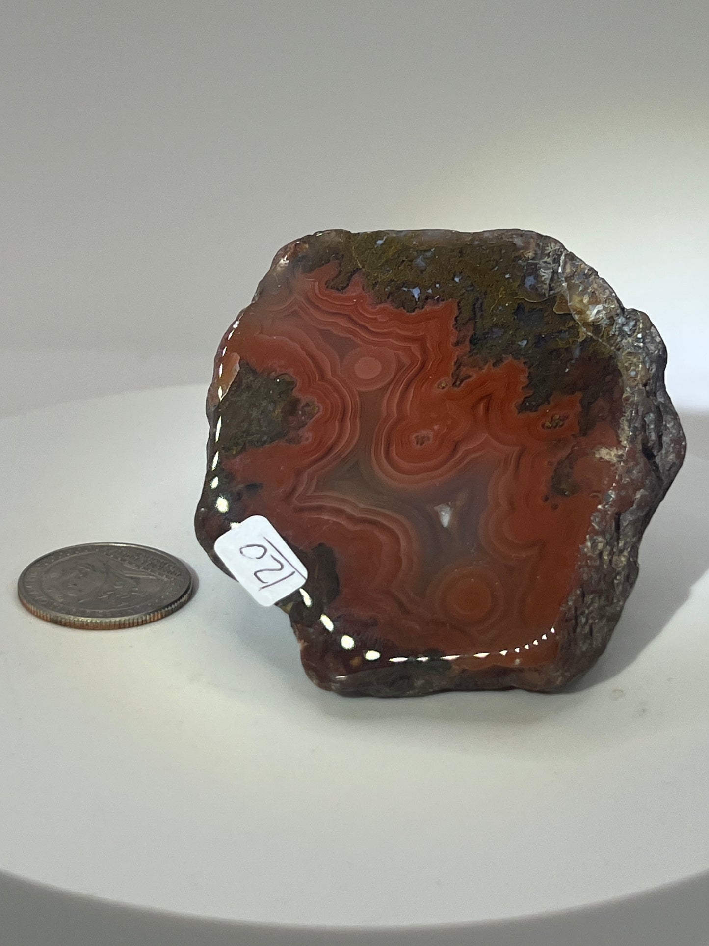 Laguna Agates- Bold & Unique Patterns