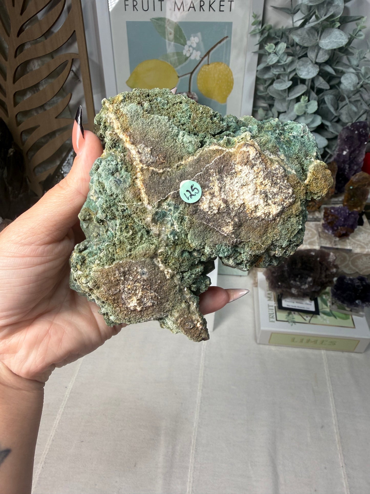 Marshy Apophyllite • India