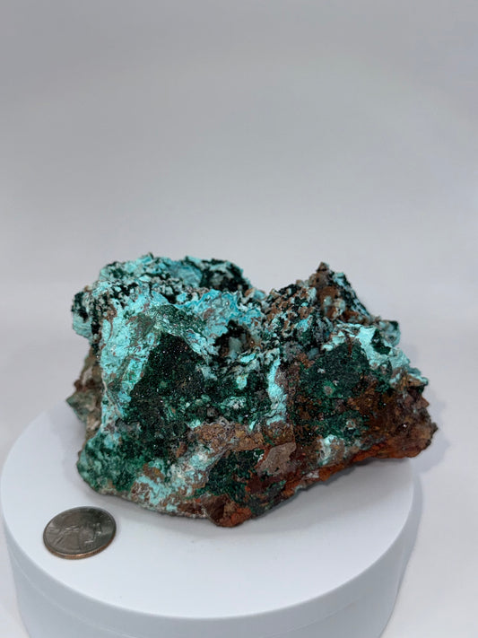 Druzy Chrysocolla with Malachite