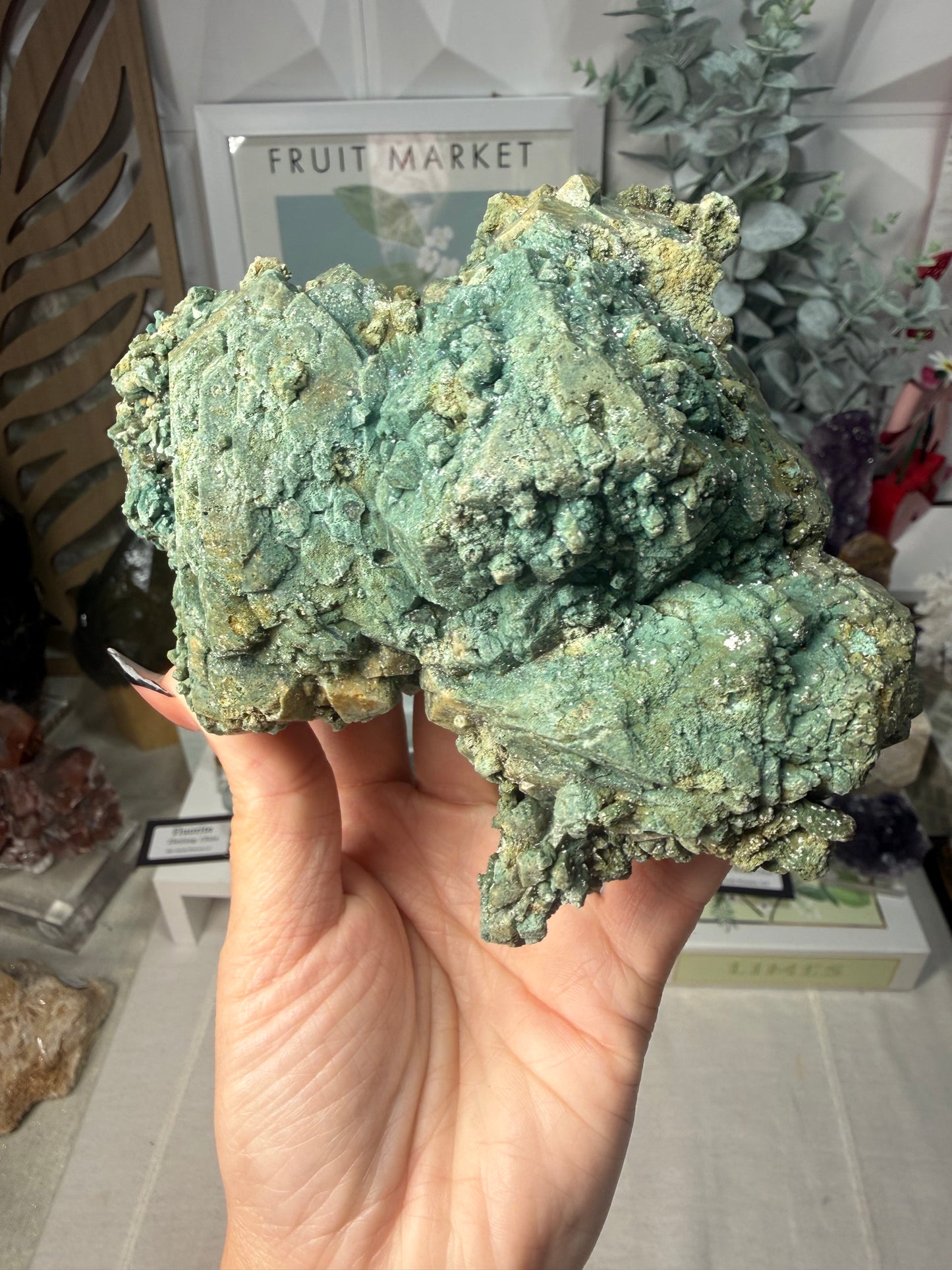 Marshy Apophyllite • India