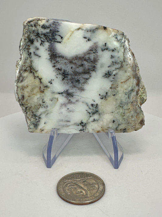 Dendritic Opal Madagascar