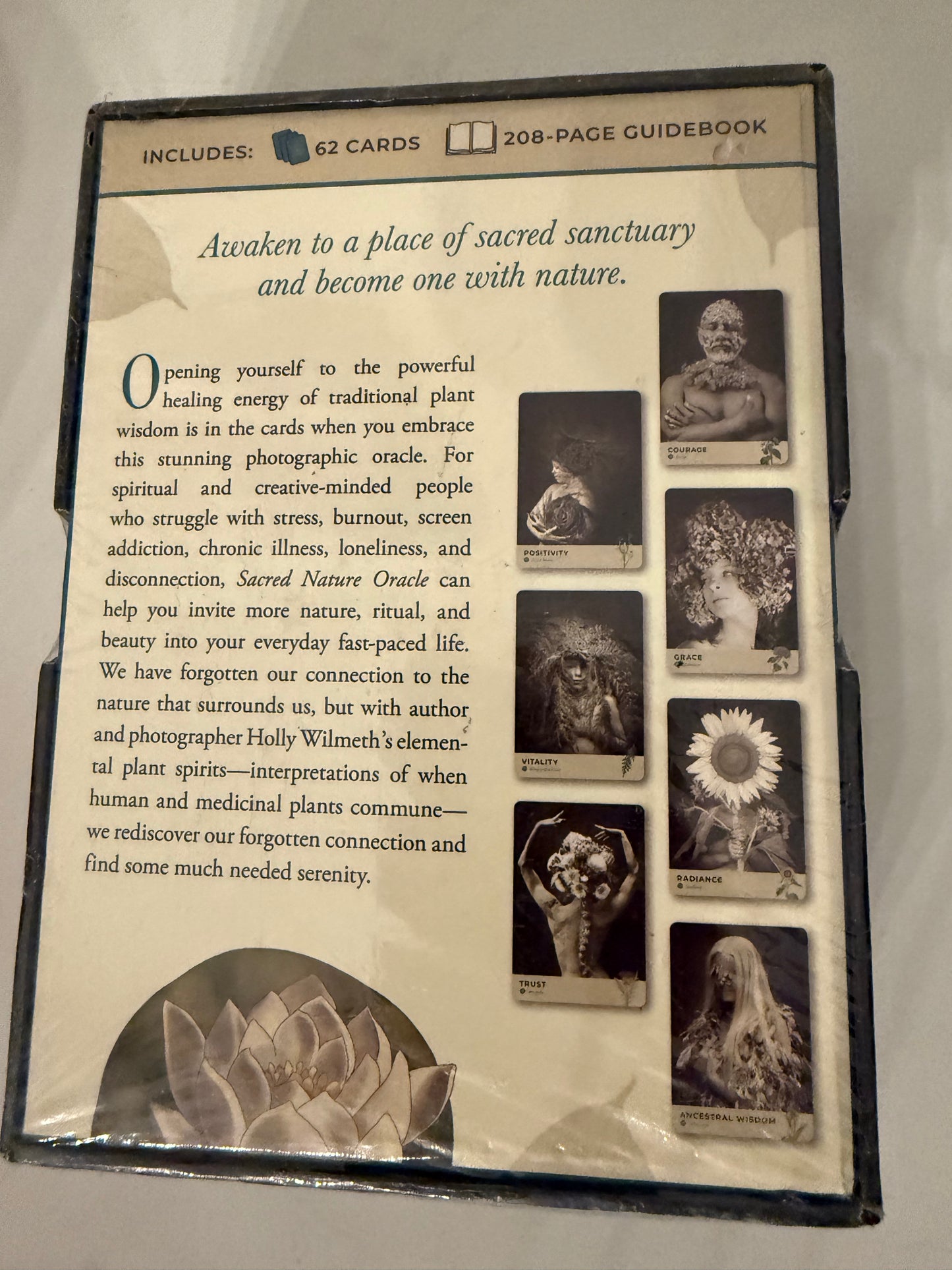 Sacred Nature Oracle