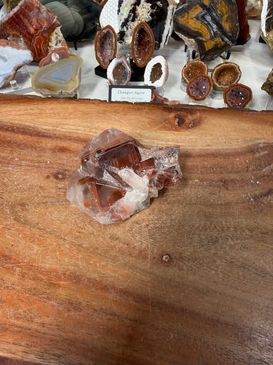 Lisa Haiduck