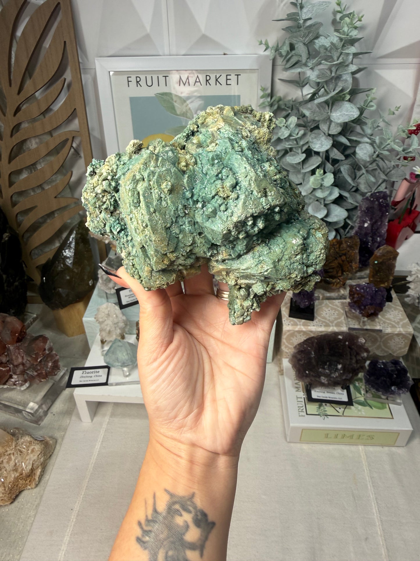 Marshy Apophyllite • India