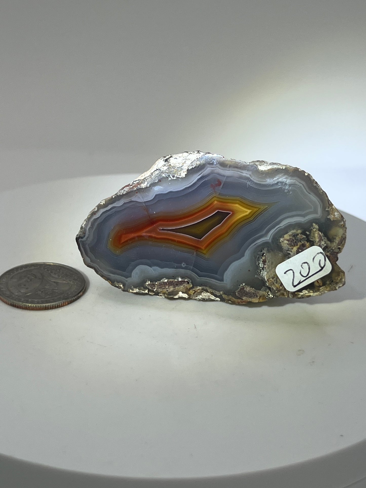 Laguna Agates- Bold & Unique Patterns