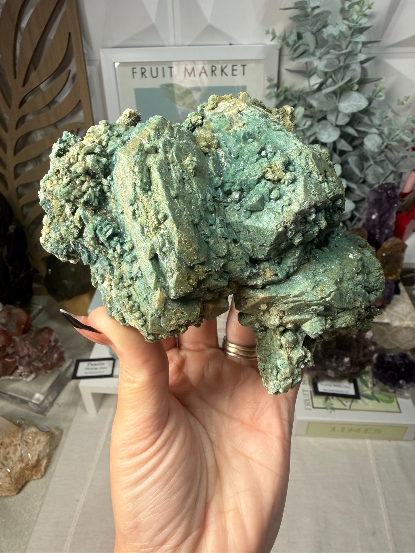Marshy Apophyllite • India
