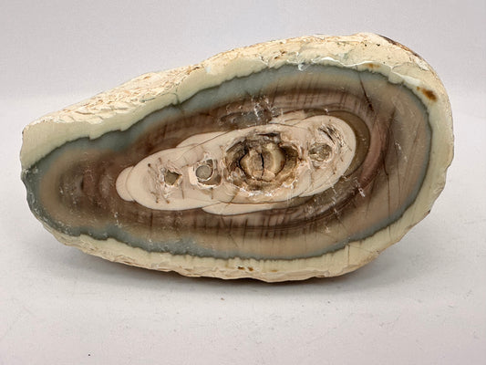 Imperial Jasper Mexico