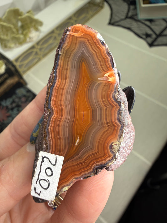 Laguna Agate – Mexico