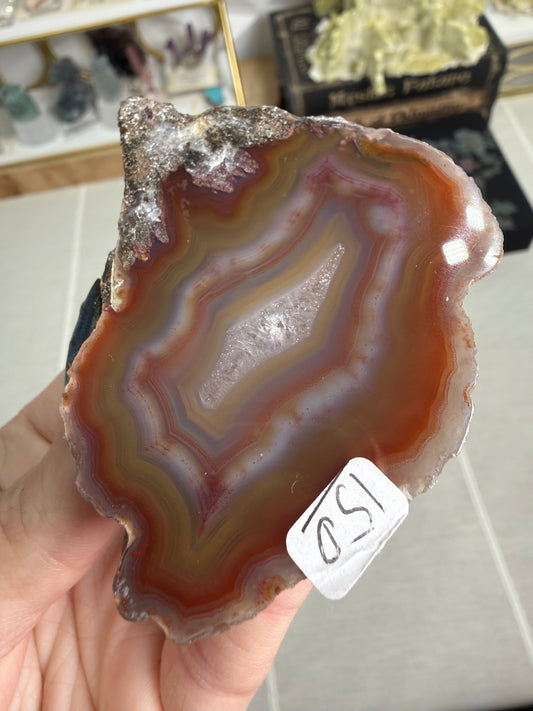 Laguna Agate – Mexico
