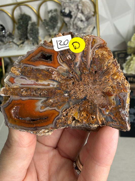 Coyamito Agate – Mexico
Pseudomorph