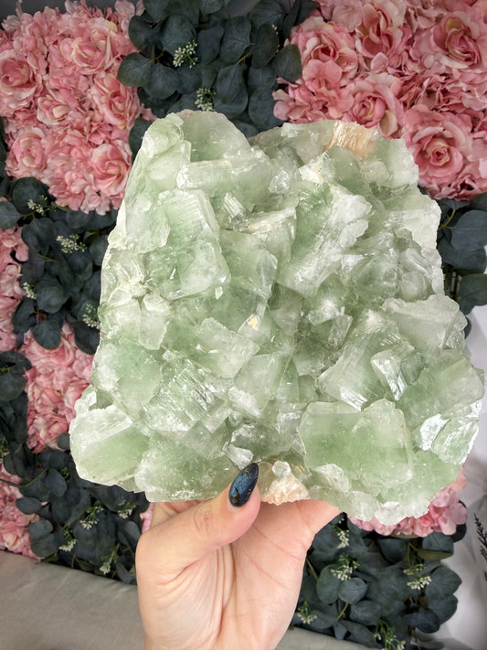 Green Apophyllite