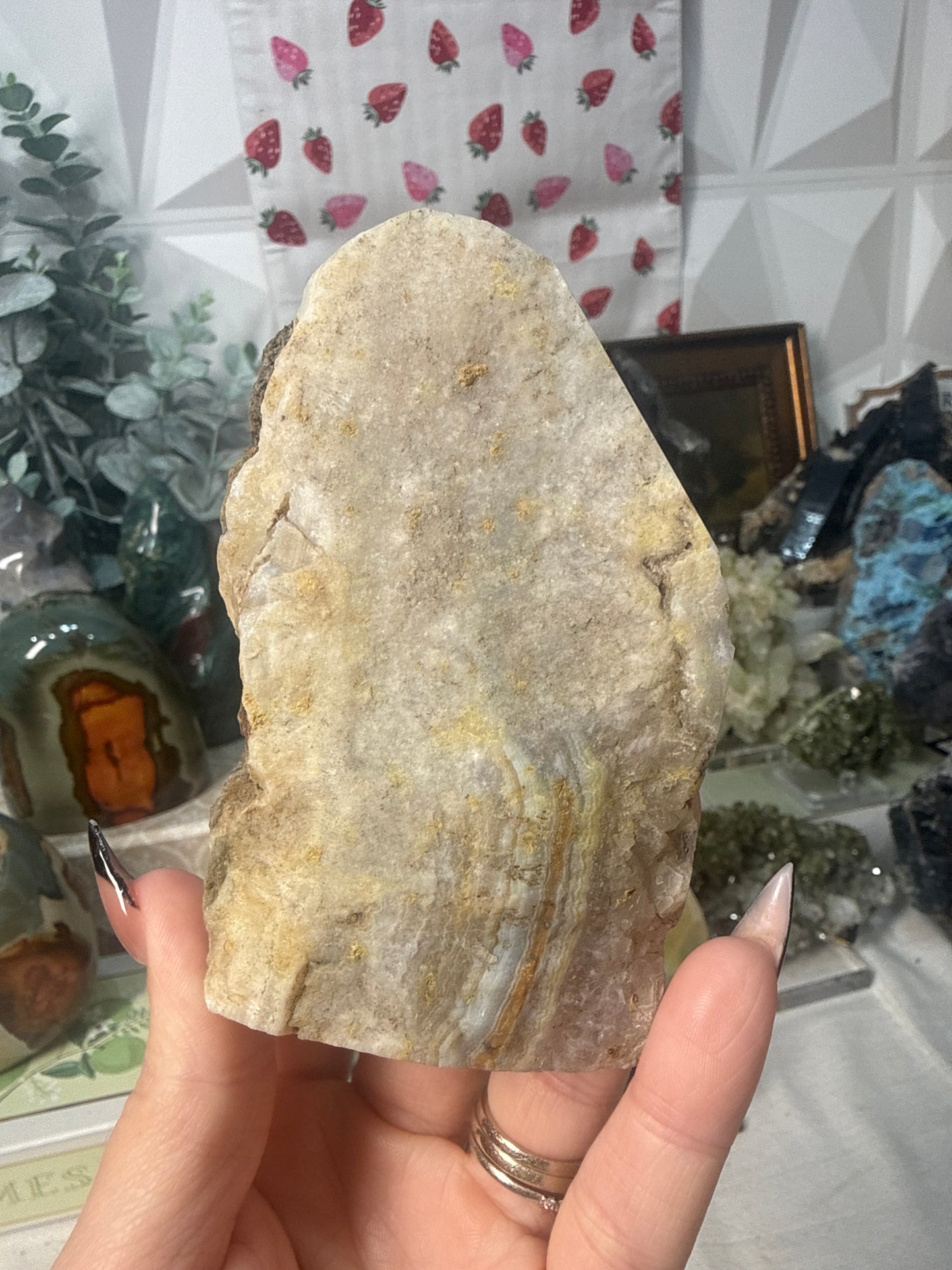 Silver Bearing Amethyst “Sowbelly Agate” (A)