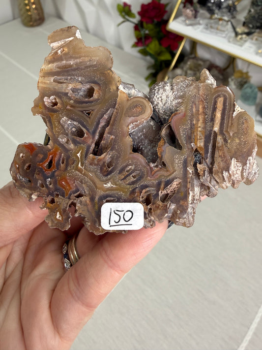 Coyamito Agate – Mexico
Pseudomorph