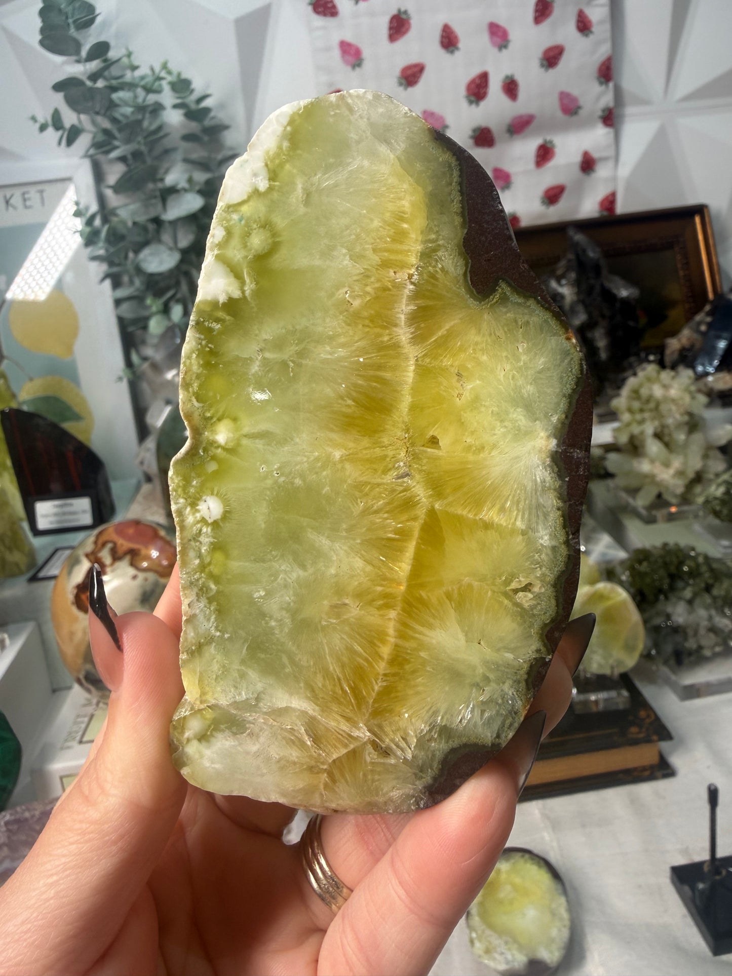 Australian Prehnite (A)