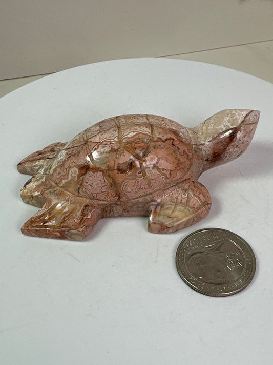 Pink Crazy Lace Agate Turtle