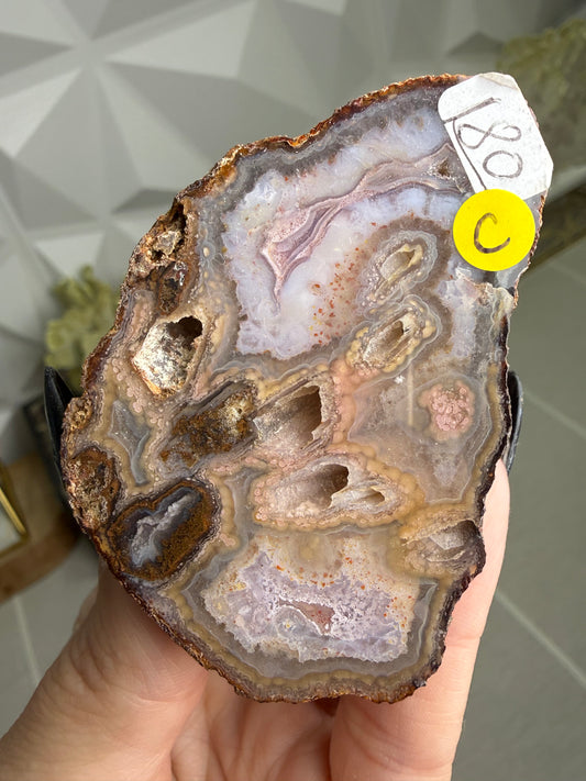 Coyamito Agate – Mexico
Pseudomorph