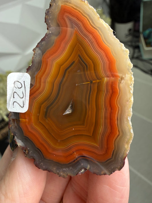 Laguna Agate – Mexico