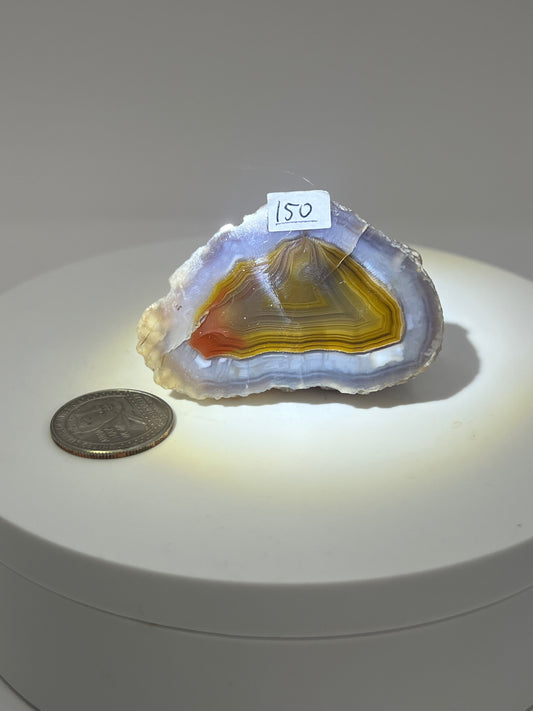 Laguna Agates- Bold & Unique Patterns