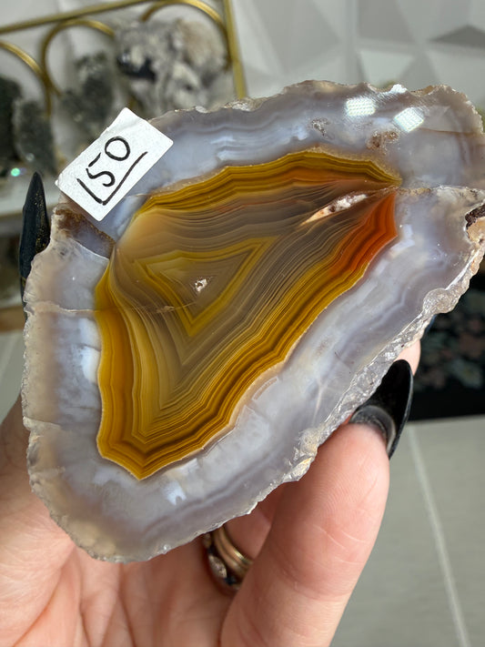 Laguna Agate – Mexico