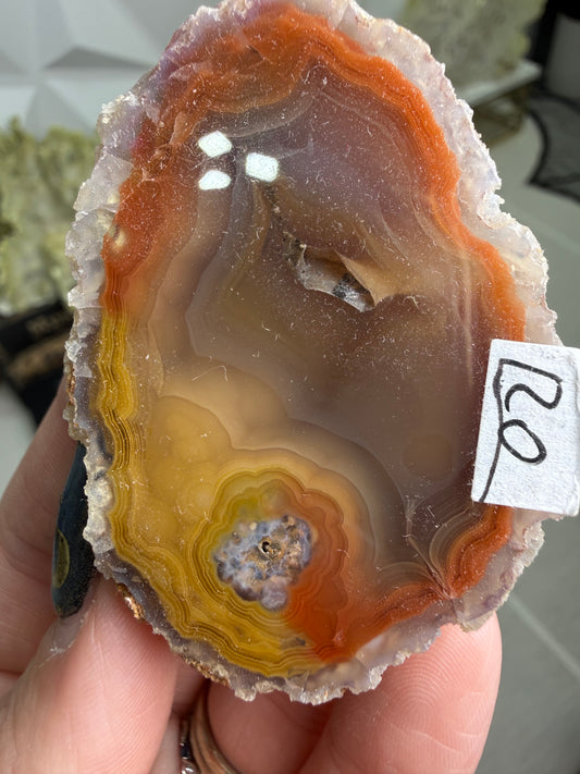 Laguna Agate – Mexico
