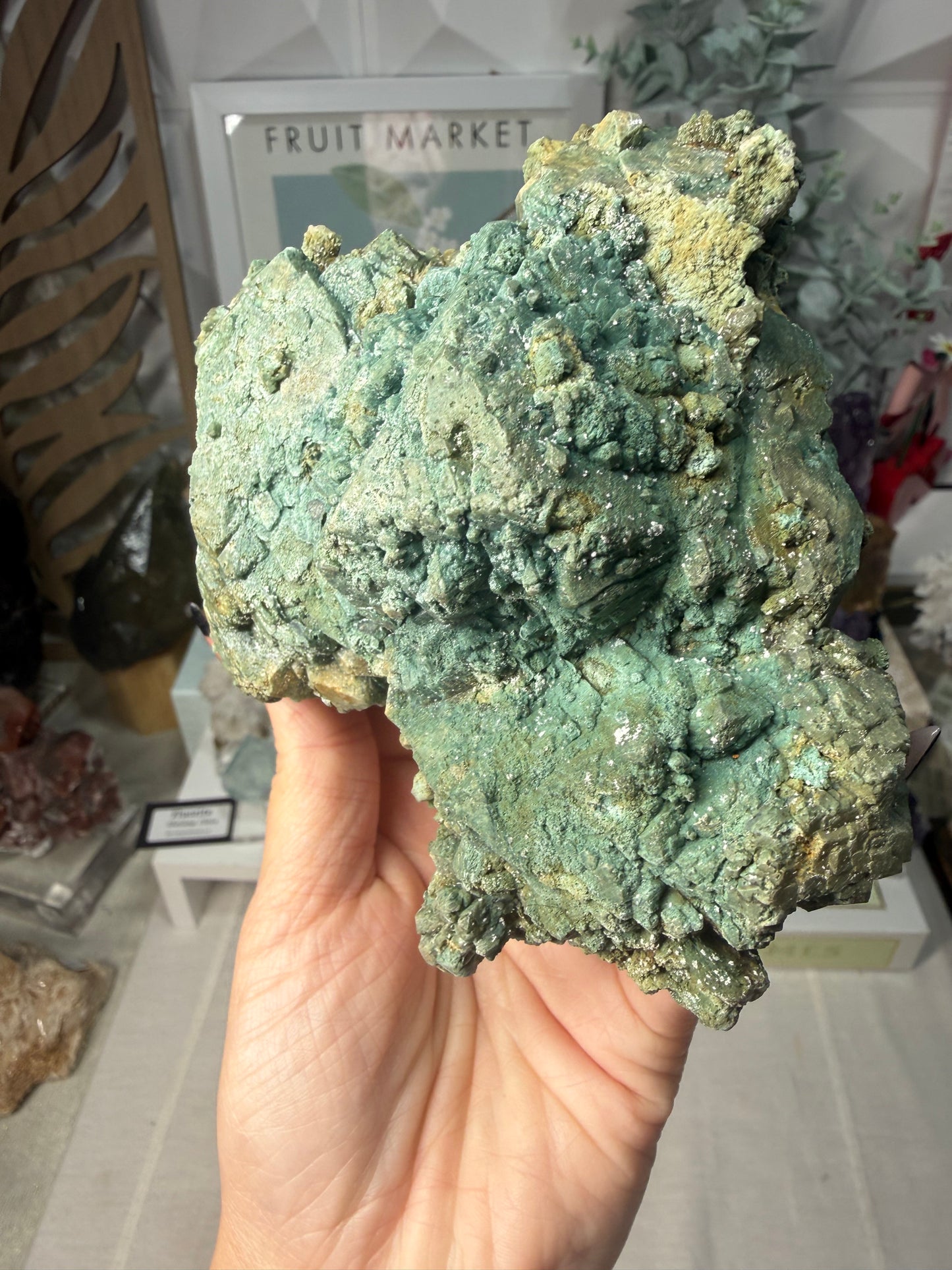 Marshy Apophyllite • India