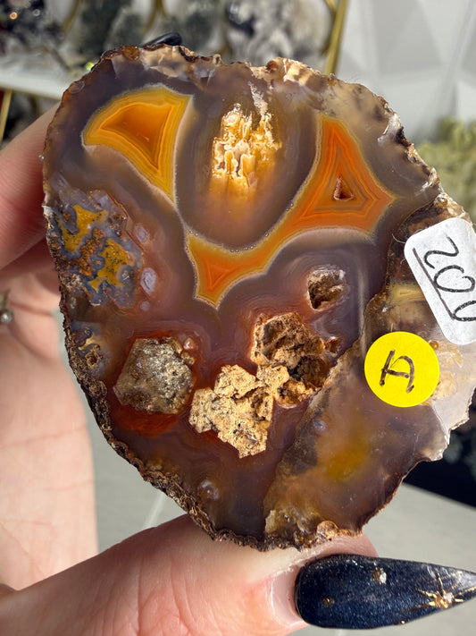 Coyamito Agate – Mexico
Pseudomorph