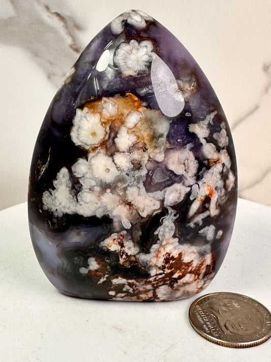 Blue Flower Agate Freeform