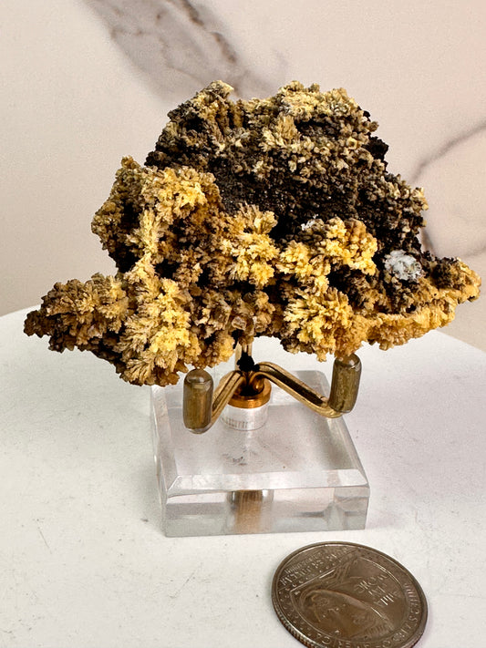 Mimetite | Mexico