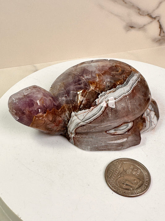 Amethyst & Agate Turtles